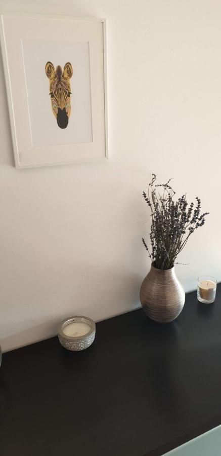 Parkview Apartment In Zagreb'S Favorite Neighborhood Экстерьер фото